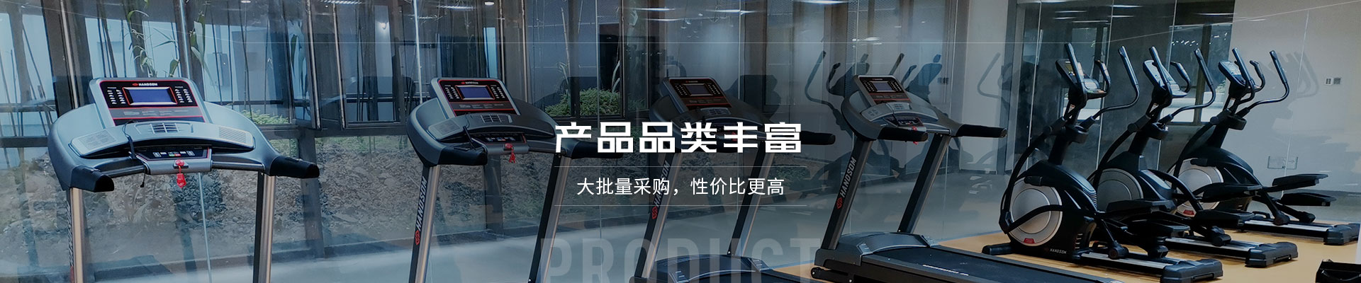 室内健身器材
